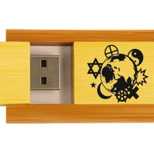 ISTA USB Flash Drive 9.0